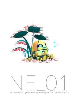 NE_01