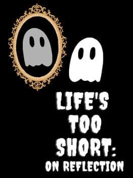 Life's Too Short: On Reflection