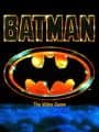 Batman: The Video Game