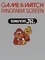 Donkey Kong Jr.