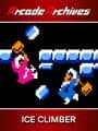 Arcade Archives: Ice Climber