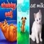 2 Cats & 1 Dog
