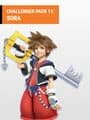Super Smash Bros. Ultimate: Challenger Pack 11