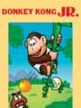 Donkey Kong Jr.