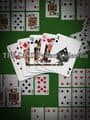 The Card Perfect Collection Plus: Texas Hold 'em, Solitaire and Others