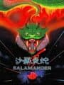 Salamander