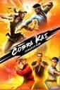 Cobra Kai Collection