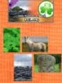 Pixel Puzzles Ultimate: Ireland