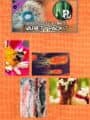 Pixel Puzzles Ultimate: Variety Pack 7