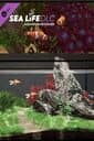 Aquarium Designer: Sea Life