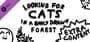 Looking For Cats In a Badly Drawn Forest: Extra Content