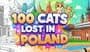 100 Cats Lost In Poland: Extra Content