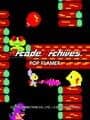 Arcade Archives: Pop Flamer