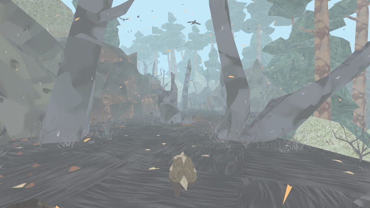 Shelter thumbnail 4