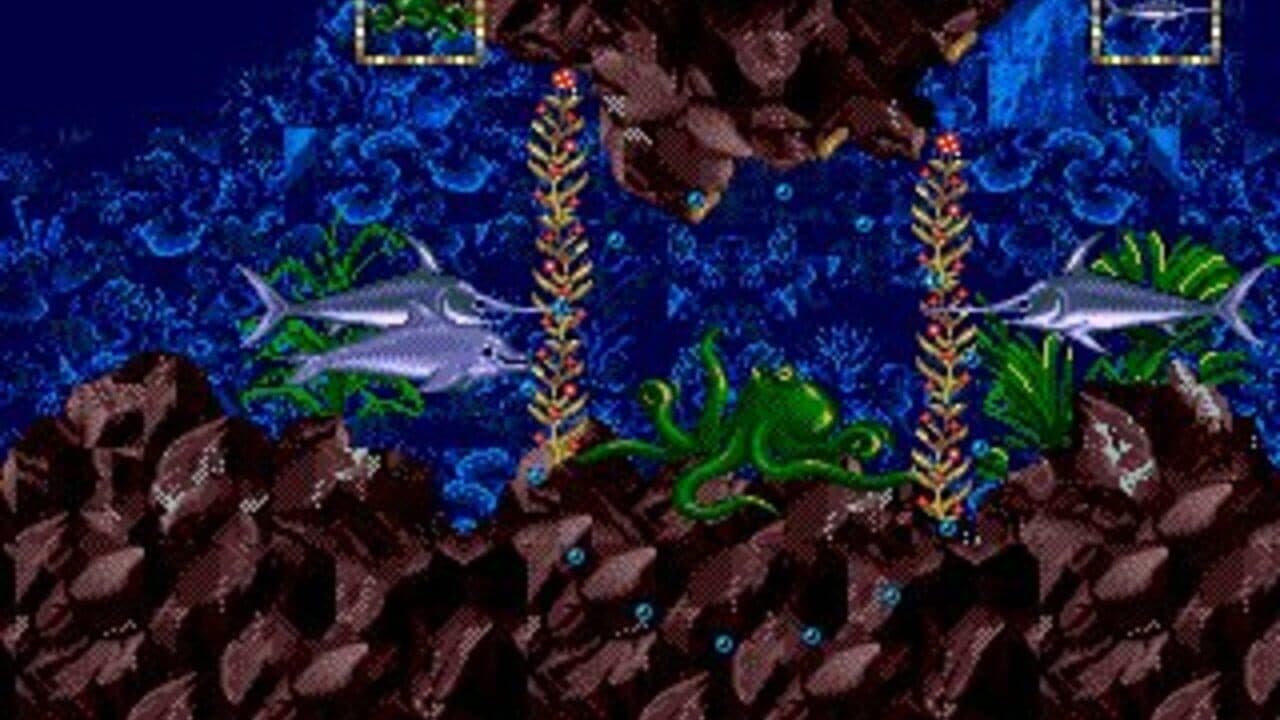 Ecco Jr. thumbnail 8