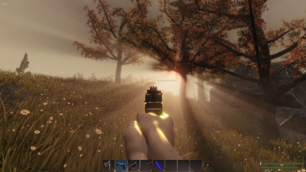 Subsistence thumbnail 5