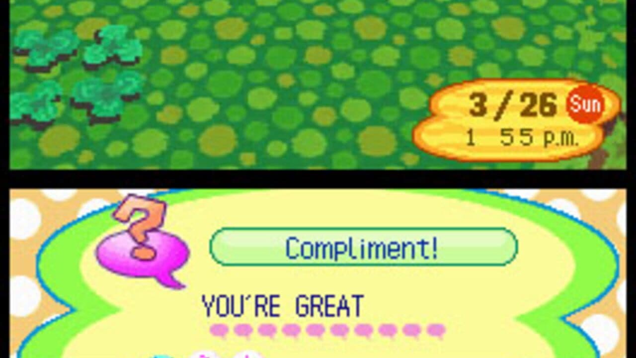 Animal Crossing: Wild World thumbnail 9