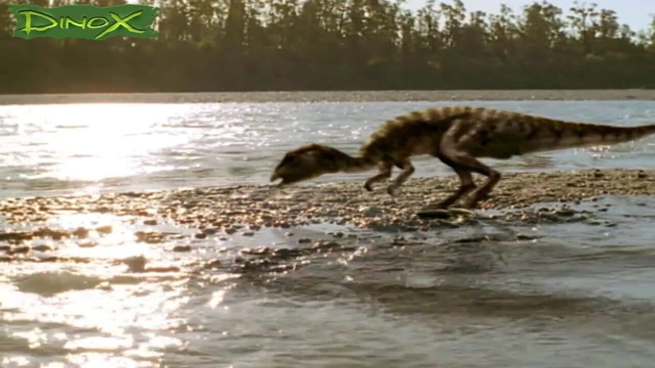 Dinox thumbnail 9