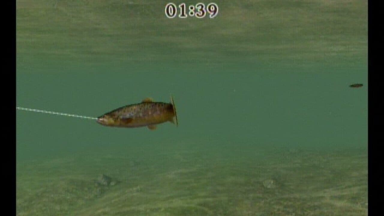 Reel Fishing Challenge thumbnail 5