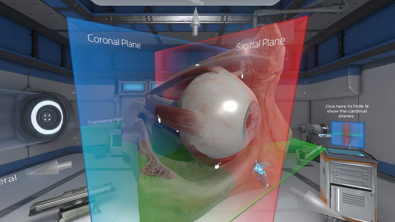 The Physiology of the Eye thumbnail 3