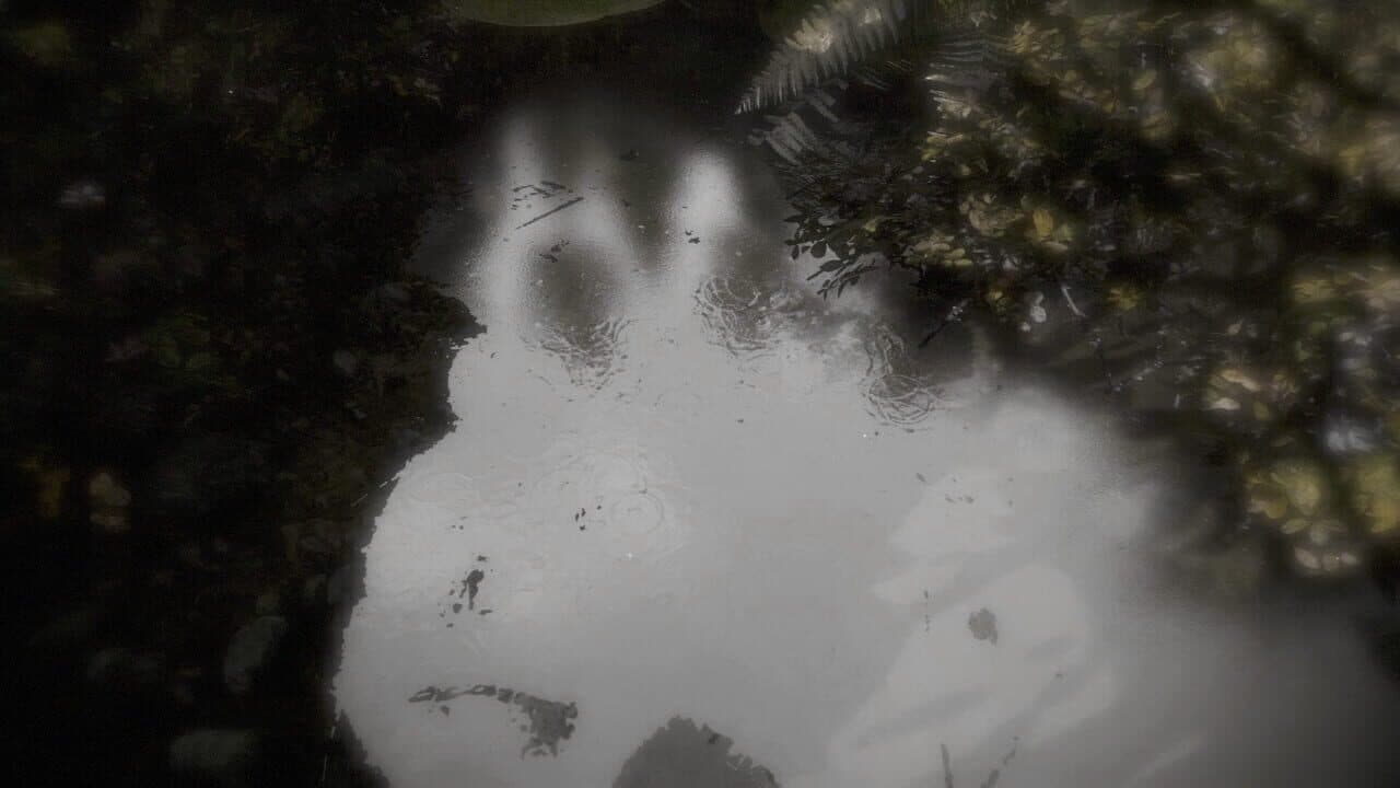 Reflecting Fate thumbnail 3