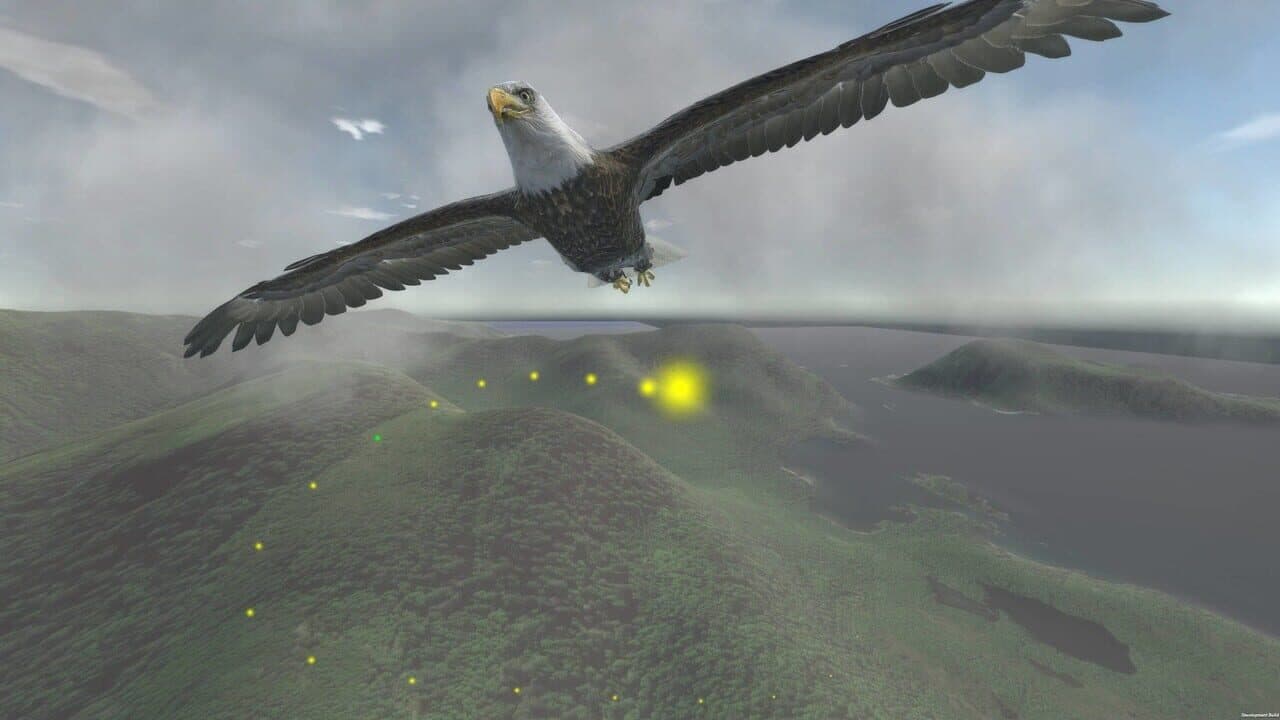 Aquila Bird Flight Simulator thumbnail 4