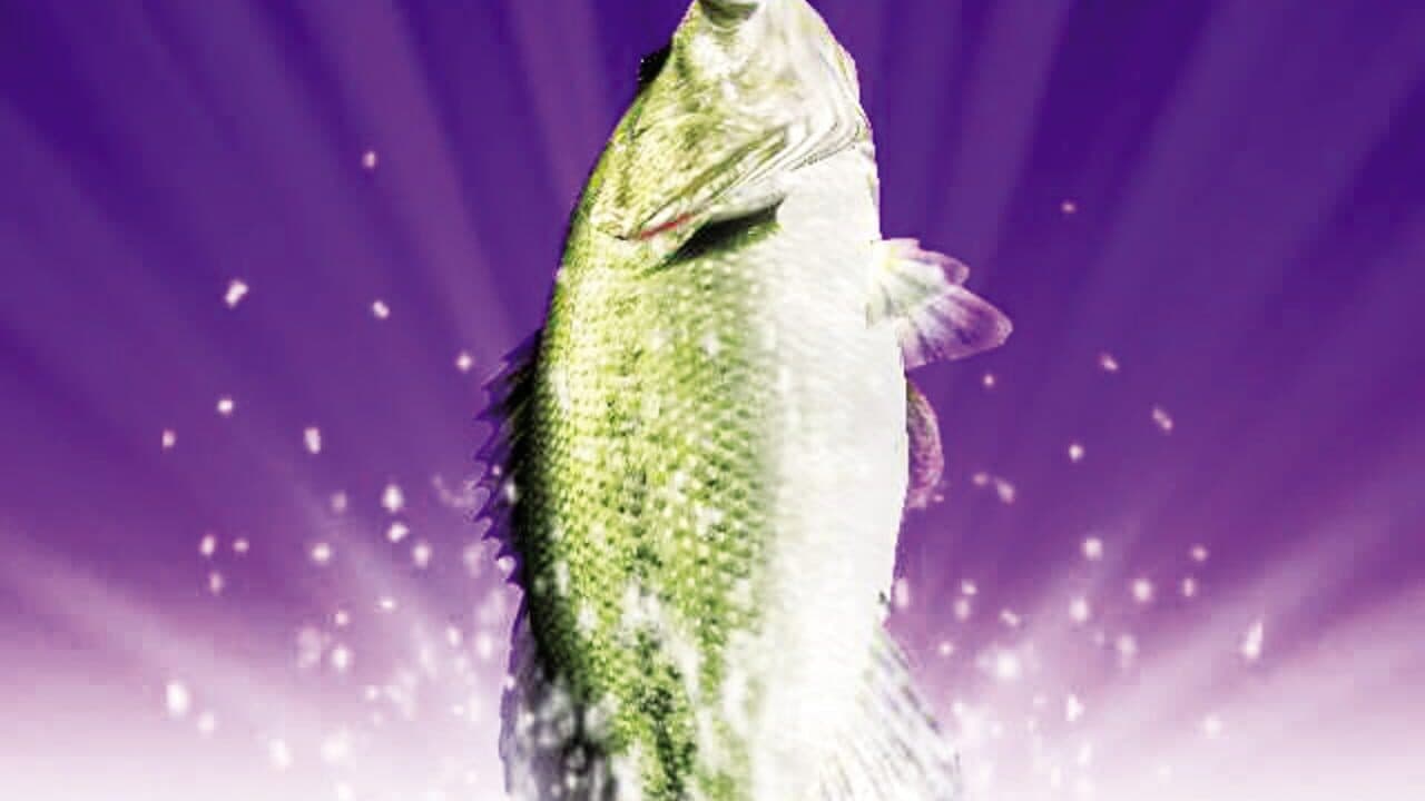 Fishing Master thumbnail 6