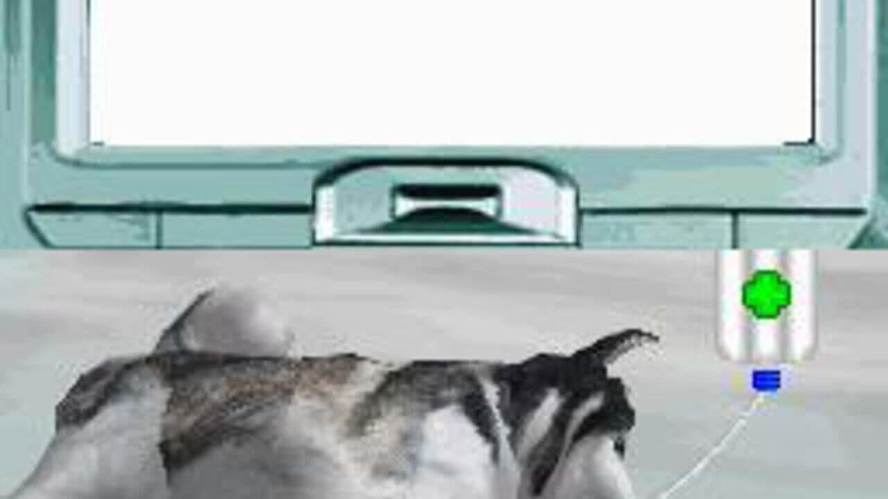 Pet Pals: New Leash on Life thumbnail 3