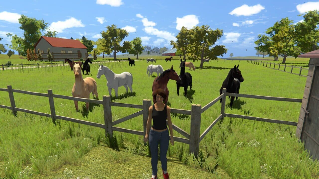My Little Riding Champion thumbnail 2
