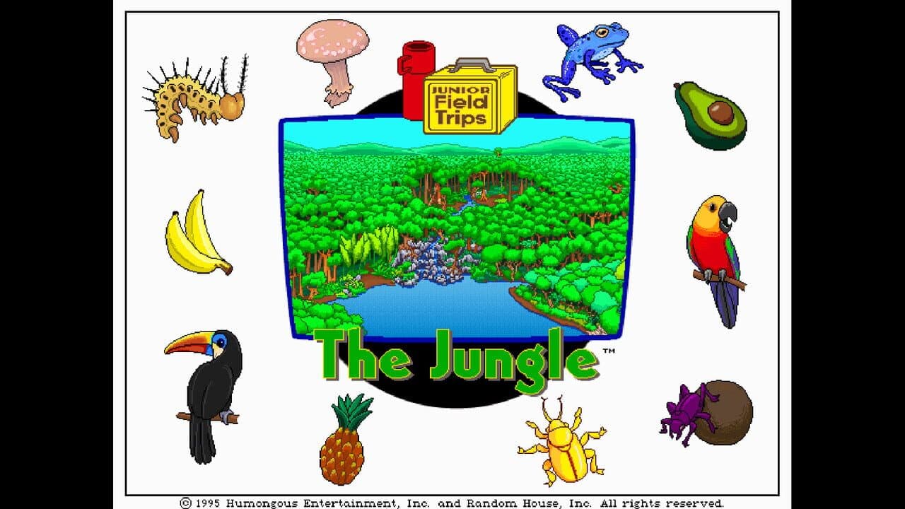 Let's Explore the Jungle thumbnail 5