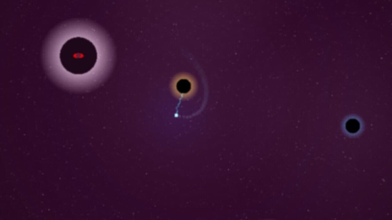 Rogue Moon thumbnail 2
