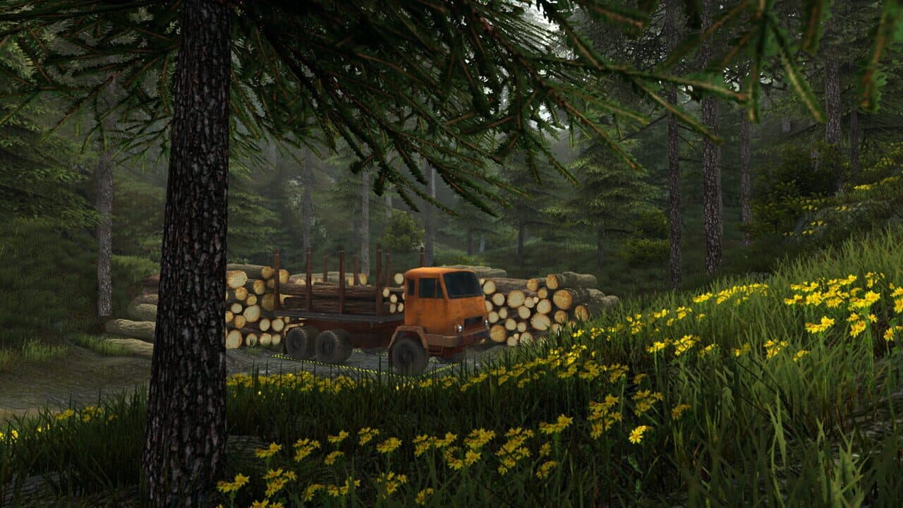 Professional Offroad Transport Simulator thumbnail 3