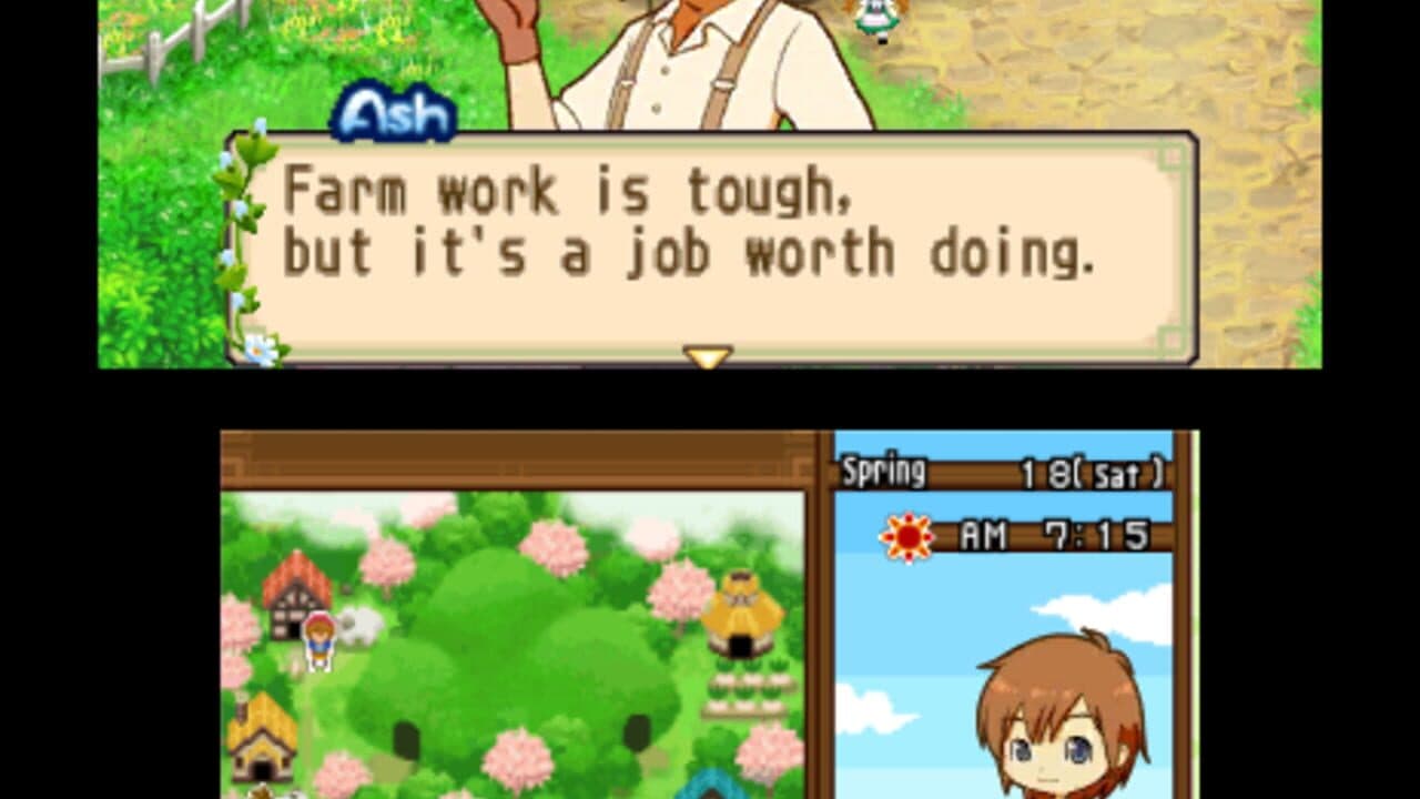 Harvest Moon: The Tale of Two Towns thumbnail 3