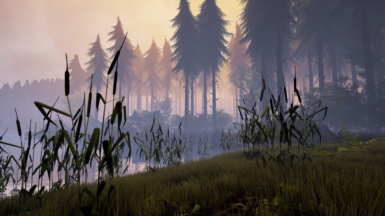 Bigfoot thumbnail 3