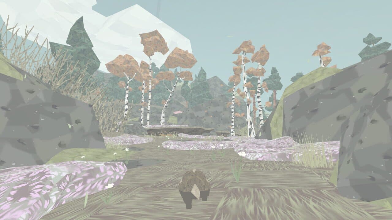 Shelter thumbnail 3