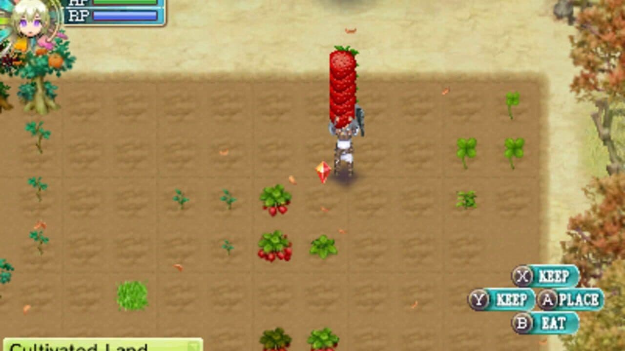 Rune Factory 4 thumbnail 11