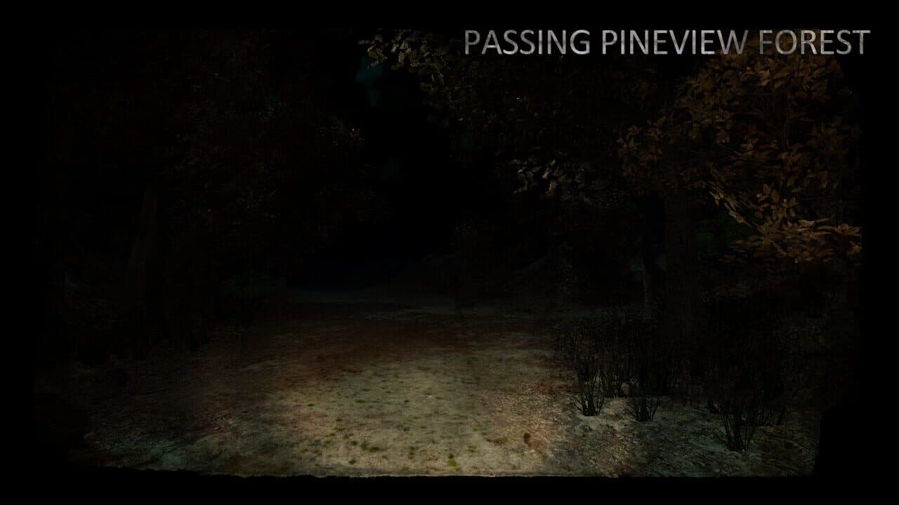 Passing Pineview Forest thumbnail 2