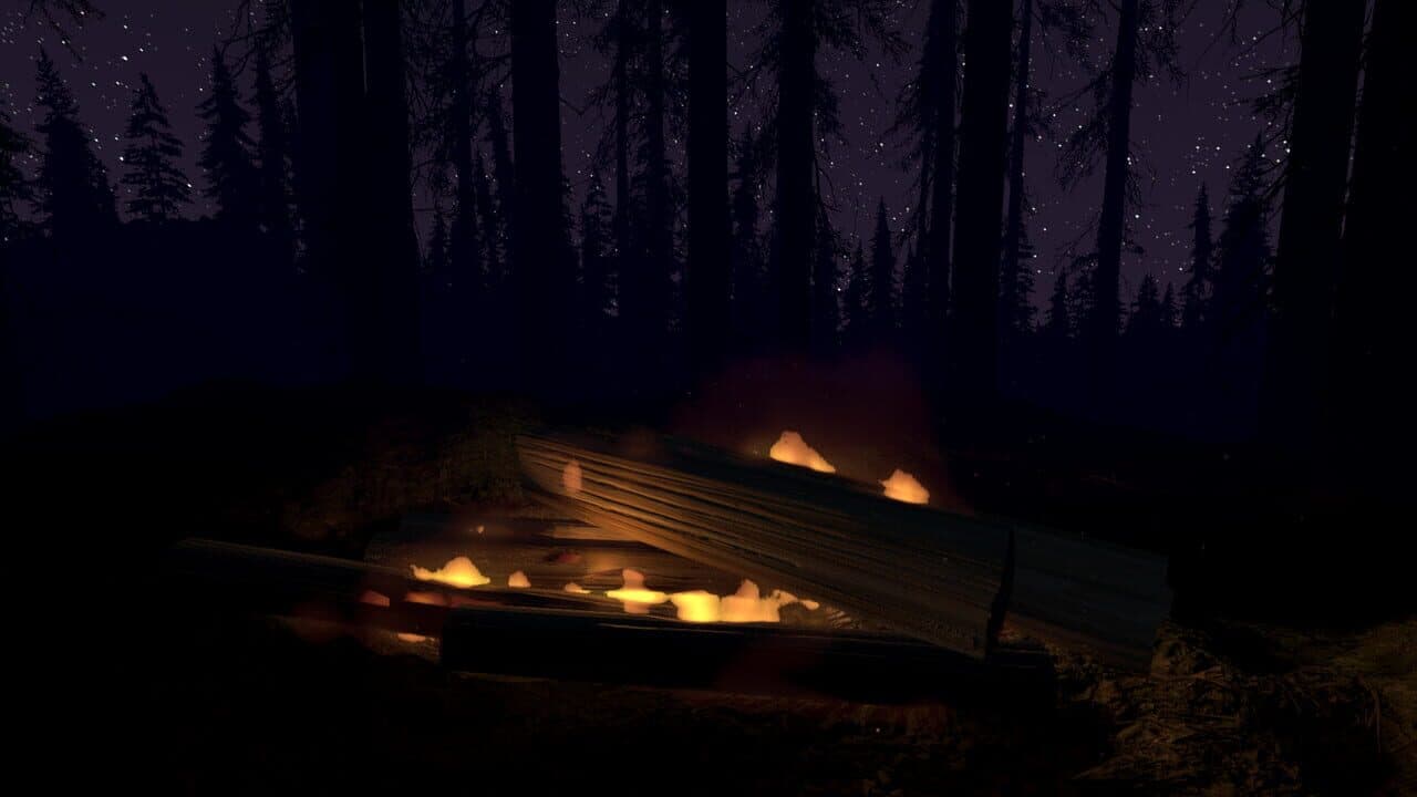 Fire Place thumbnail 5