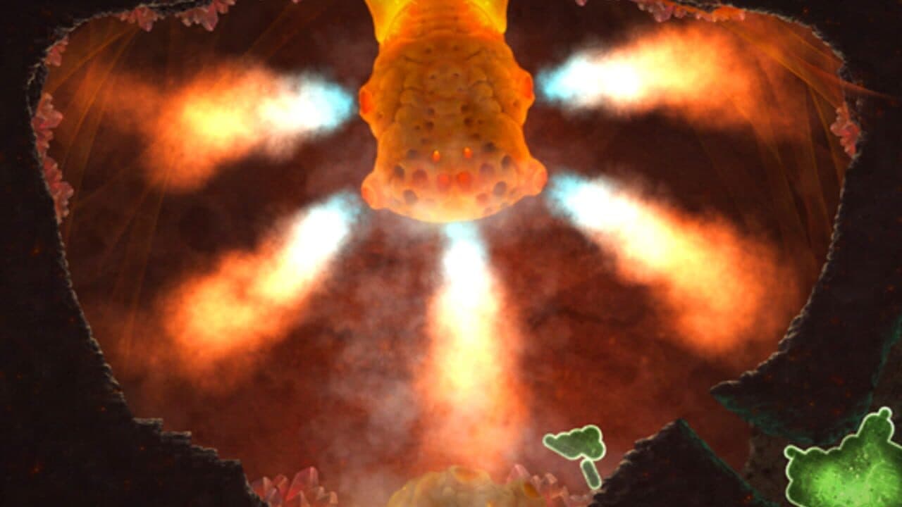 Mushroom 11 thumbnail 11