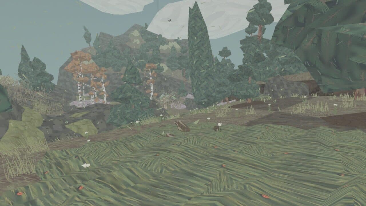 Shelter thumbnail 5