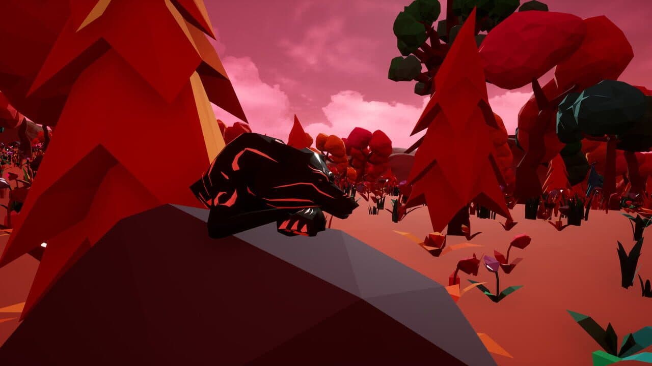 Paws and Soul thumbnail 7