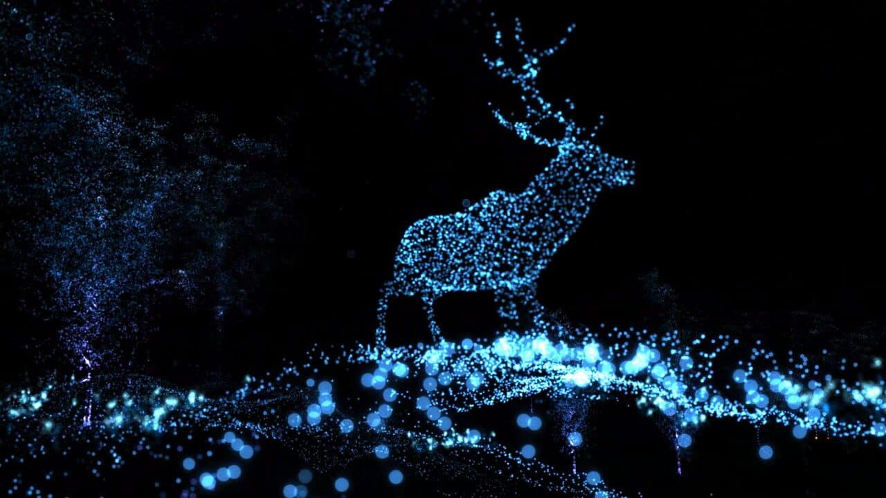 A Light In Chorus thumbnail 2