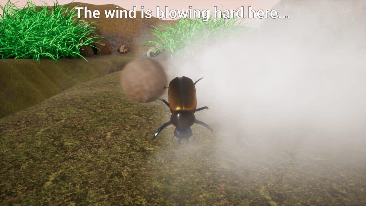 Dung Beetle thumbnail 4