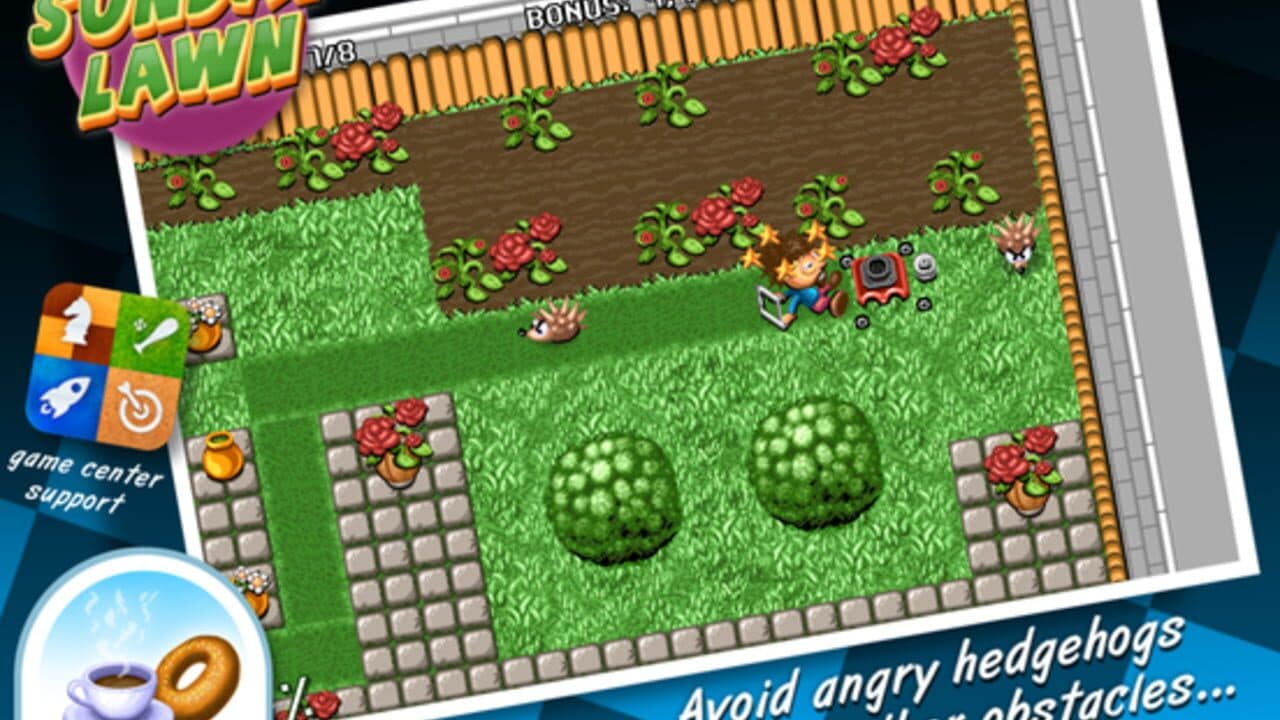 Sunday Lawn thumbnail 5