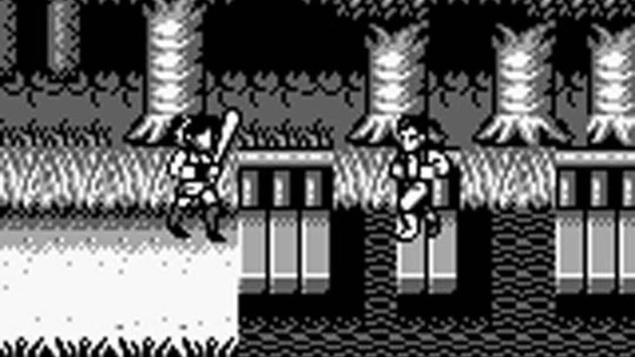 Double Dragon thumbnail 3