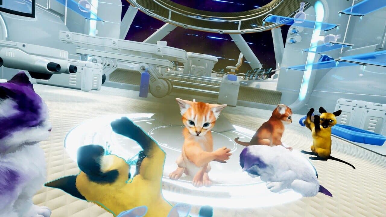 Kitten'd thumbnail 6