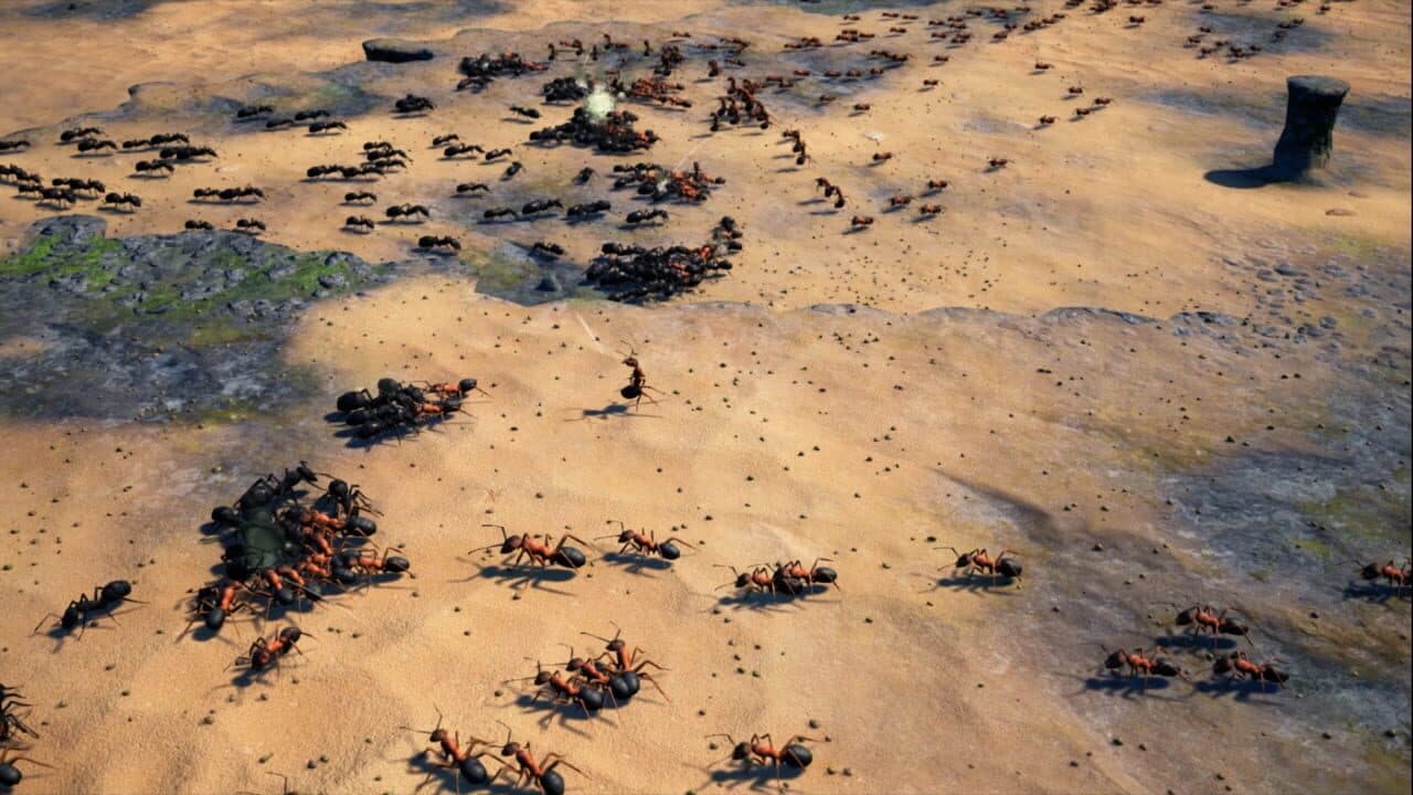 Empires of the Undergrowth thumbnail 4