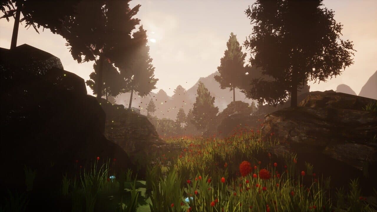 Fireflies thumbnail 3
