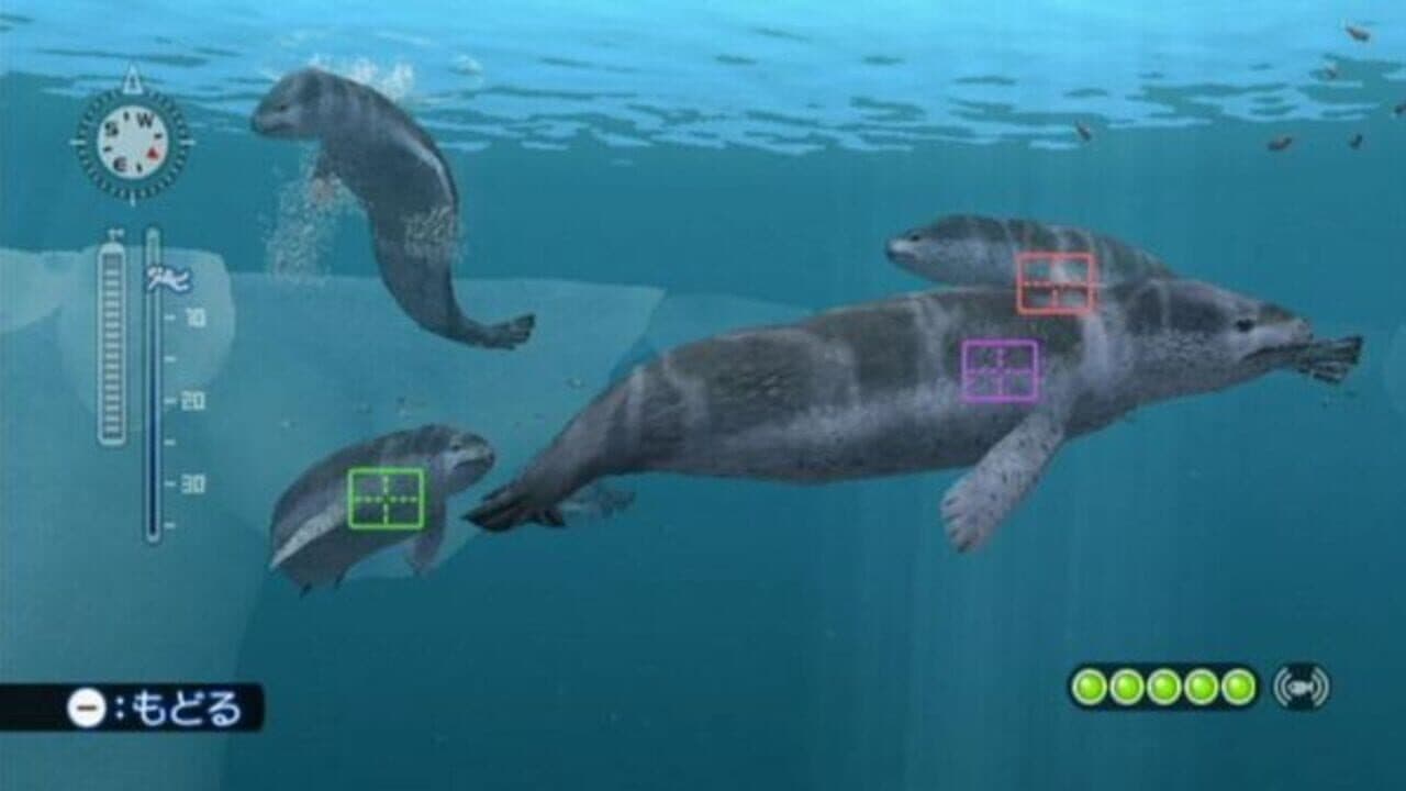 Endless Ocean: Blue World thumbnail 12