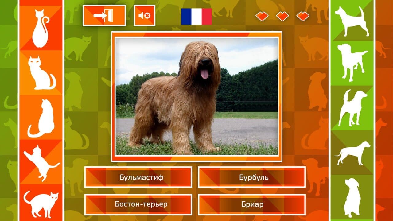 JQ: dogs & cats thumbnail 3